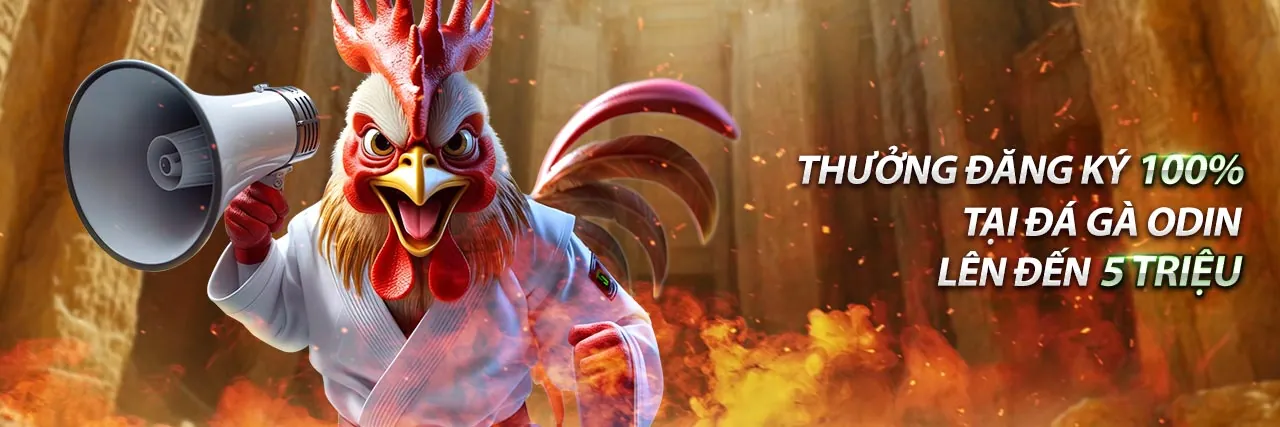 Giao diện cá cược đá gà trực tuyến Kubet